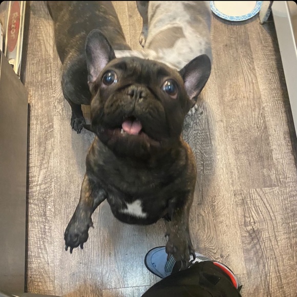 Meet your Posher, Stephanie - Picture 2 of 3